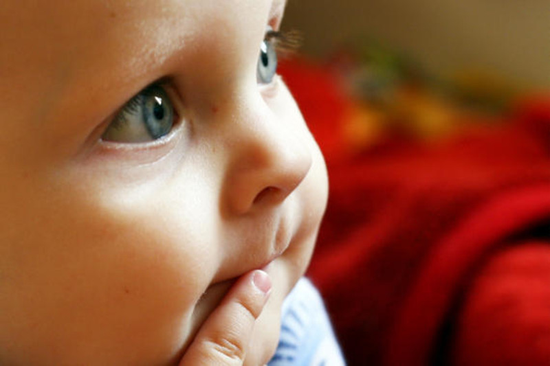 Los bebés comprenden que el gesto comunicativo se integra con el habla