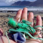 Millones de toneladas de plástico asfixian a los océanos