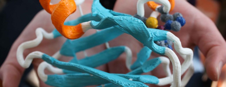 Descubren científicos mexicanos secretos de proteínas involucradas en Alzheimer y Parkinson