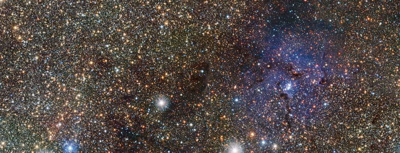 Nuevas estrellas variables al fondeo de la Via Lactea- ESO_VVV consortium_D Minniti