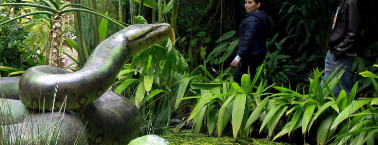 Réplica de boa gigante, Jardín Botánico de Bogota- Mauricio Dueñas Castañeda, EFE