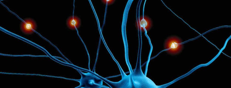 Conexiones neuronales