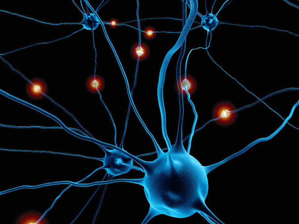 Conexiones neuronales