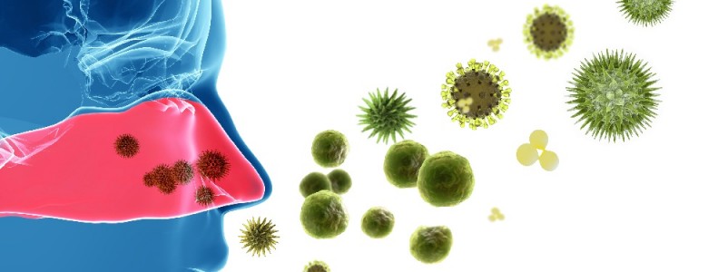 Contaminación atmosférica por materia fecal