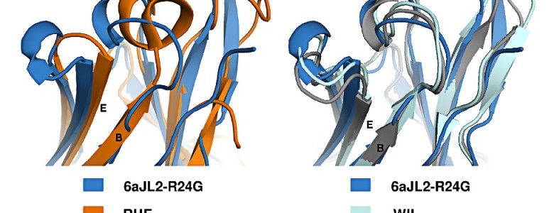 Descubren la estructura de proteínas involucradas en alzheimer y parkinson