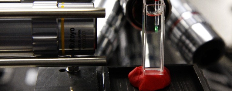 Una técnica permite obtener imágenes de diagnóstico en 3D al momento Una técnica permite obtener imágenes de diagnóstico en 3D al momento