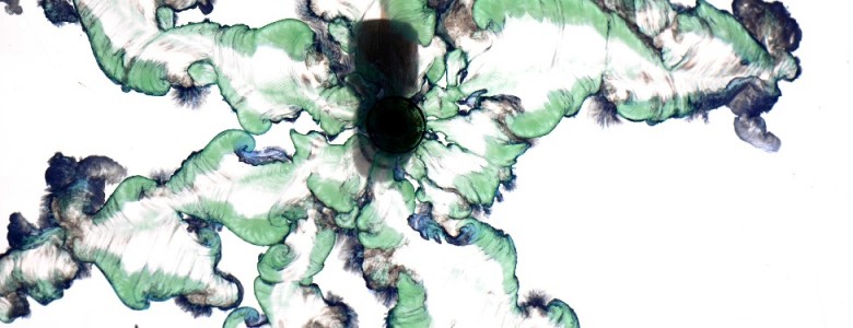 Jardines químicos, cuya formación es un misterio para la Ciencia