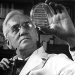 Alexander Fleming: La penicilina en un principio no fue muy bien recibida