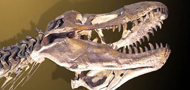 ¿Qué es un dinosaurio?. Sábados en la Ciencia