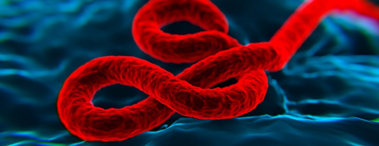 Comienza la tercera fase de los ensayos clínicos para la vacuna contra el ébola