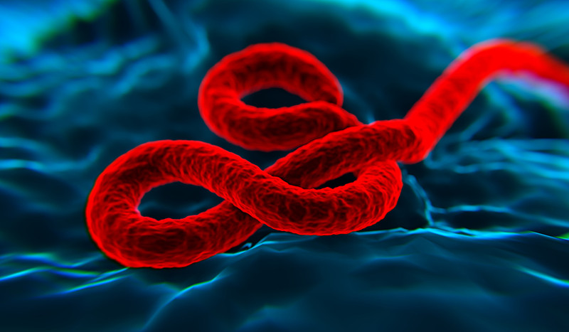 Comienza la tercera fase de los ensayos clínicos para la vacuna contra el ébola