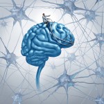 Mitos en la ciencia: ¿Y el Cerebro?