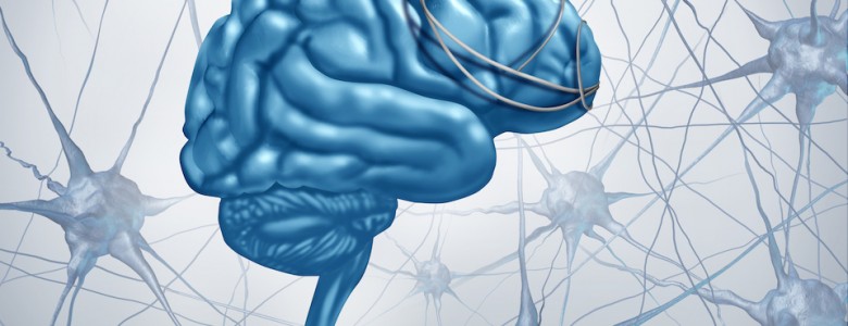 Dominando el cerebro