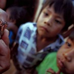 Mal de Chagas, hasta 18 millones infectados en América Latina