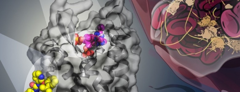 Nuevas estructuras moleculares- Institute of Materia Medica, Chinese Academy of Sciences