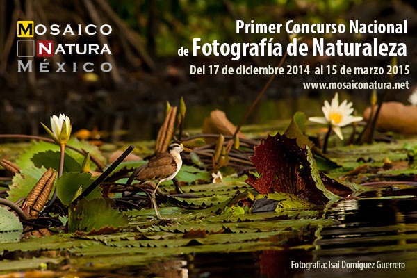 Primer concurso nacional de fotografía de naturaleza - Alef