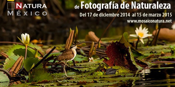 Primer concurso nacional de fotografía de naturaleza