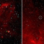 Primera detección de las esquivas estrellas FS Canis Majoris en cúmulos