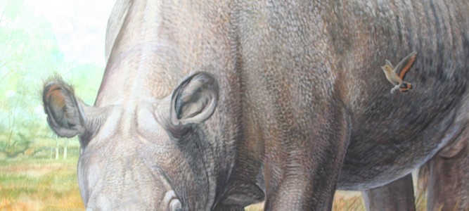 Proteínas antiguas desvelan la historia evolutiva de dos mamíferos sudamericanos