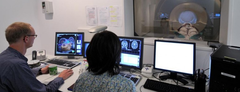 El cerebro dicta que vino prefieres.