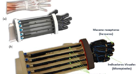Diseñan un guante robótico para la rehabilitación y asistencia de las manos Diseñan un guante robótico para la rehabilitación y asistencia de las manos