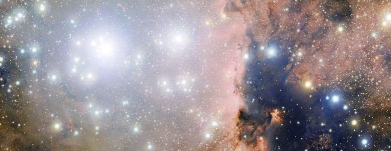 Un gran espectáculo de nuevas estrellas