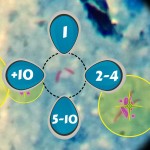 Un juego ‘online’ ayuda a diagnosticar la tuberculosis