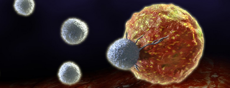 Celula cancerigena