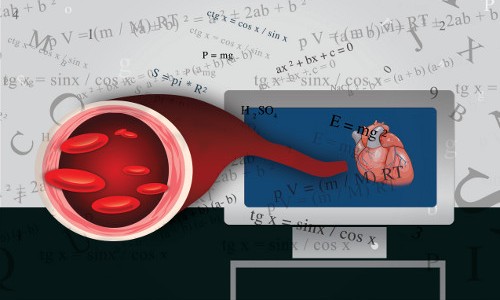Ecuaciones matemáticas que sirven para estudiar enfermedades cardiacas Ecuaciones matemáticas que sirven para estudiar enfermedades cardiacas