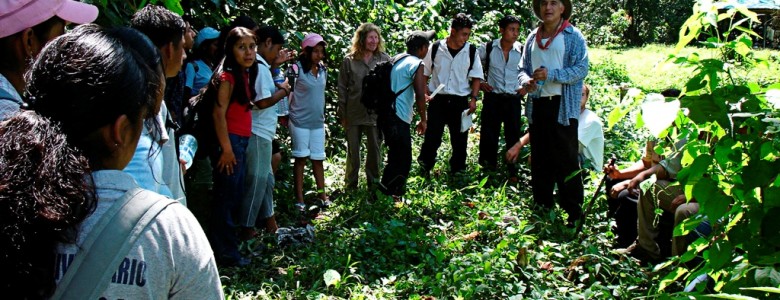 Un investigador mexicano obtiene un galardón mundial de restauración ecológica