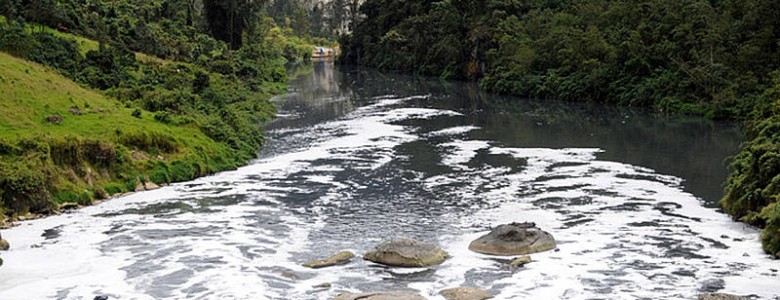 Molibdeno, metal promisorio para descontaminar el agua Tratado aguas residuales