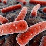 Mejoran científicos del IPN tratamientos de pacientes con tuberculosis