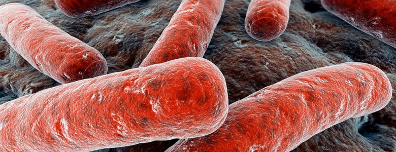 Mejoran científicos del IPN tratamientos de pacientes con tuberculosis