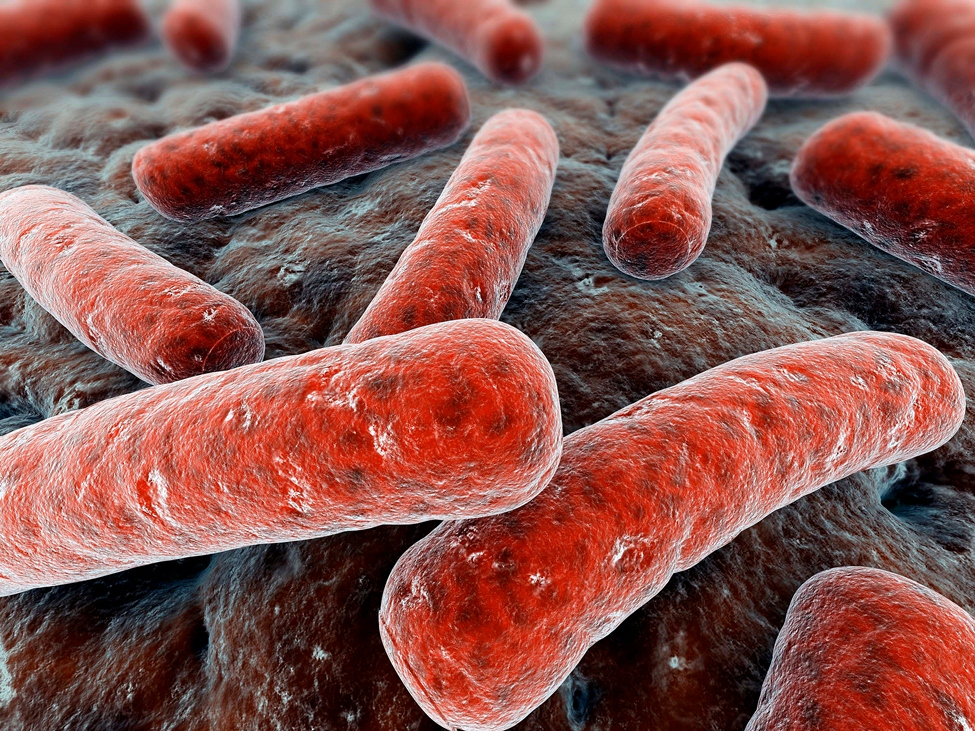 Mejoran científicos del IPN tratamientos de pacientes con tuberculosis