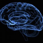 ¿Porqué el cerebro es tan sensible a la falta de oxígeno?