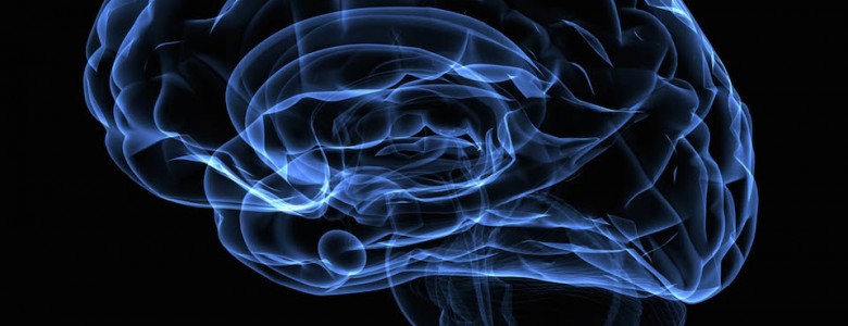 La obesidad alcanza al cerebro