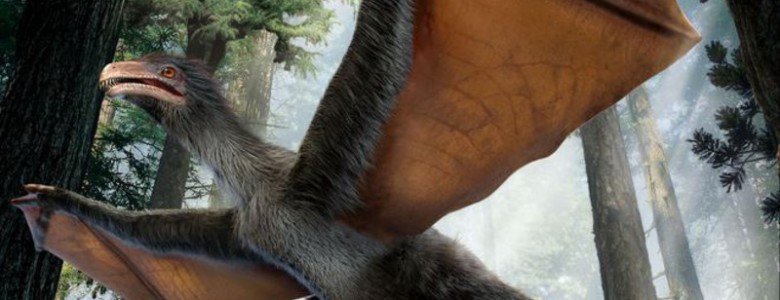 Descubierto un pequeño dinosaurio chino con alas de murciélago