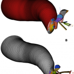 Diseñan una prótesis auditiva que toma como modelo la iguana