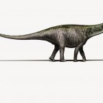El brontosaurio vuelve a ser un género único