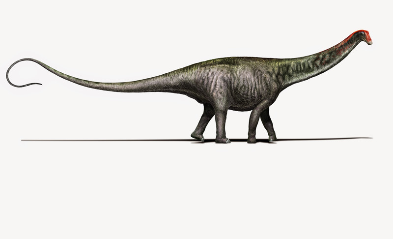 El brontosaurio vuelve a ser un género único