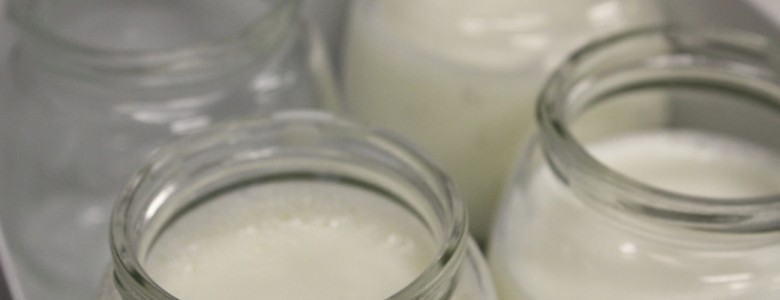 Formulan yogures ricos en proteínas y que sacian más