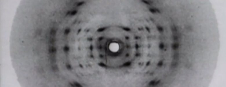 Fotografía 51, la primera del ADN