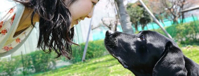 La mirada entre perro y dueño refuerza su unión emocional