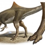 Los dinosaurios carnívoros tenían los pies de gallina
