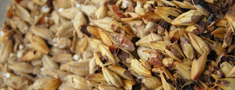 Desechos de cerveceras para crear viveros más sostenibles