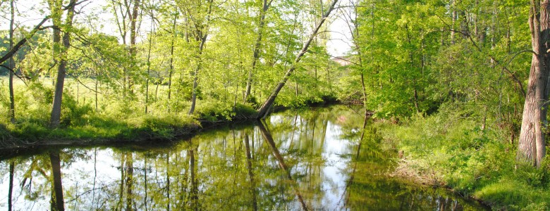 Los efectos del cambio climático en los microorganismos del suelo dependen de la deposición atmosférica de nitrógeno