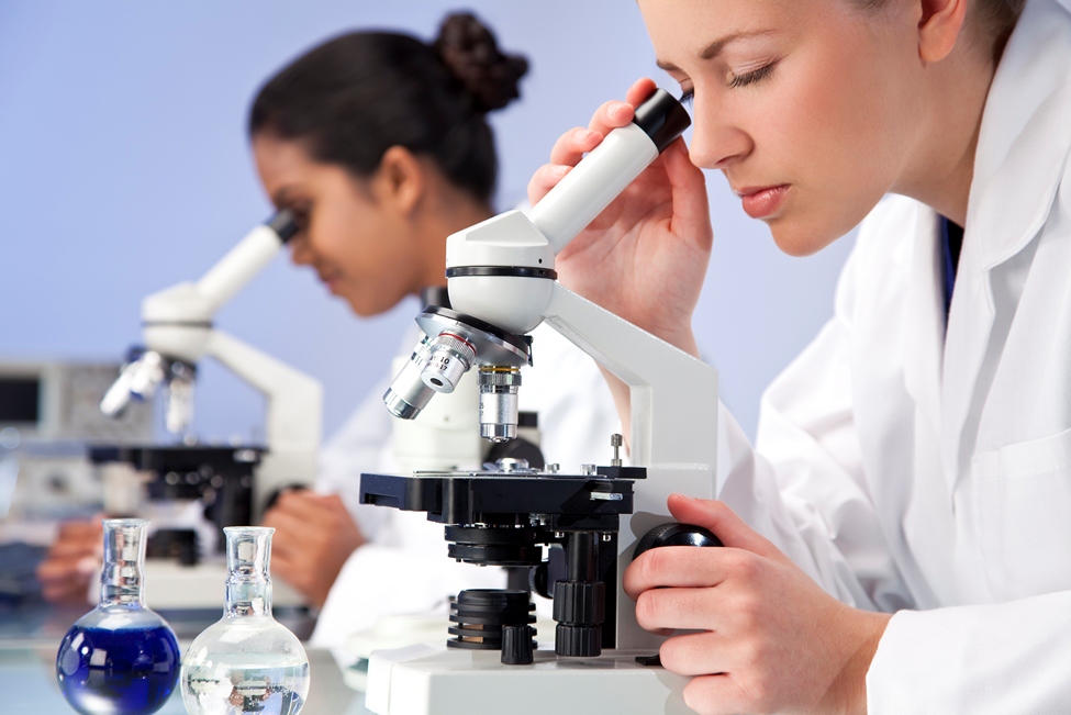 Mujeres en la investigación científica