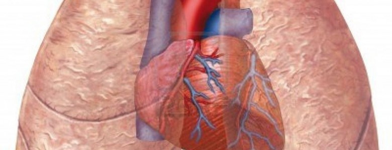Genotipificación, central en el tratamiento de cáncer de pulmón