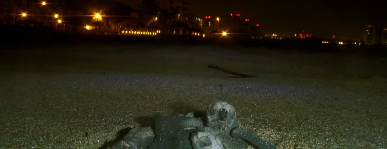Luz artificial nocturna, un nuevo tipo de contaminante