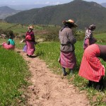 Campesinas sufren de manera desproporcionada la pobreza: 15 de octubre, Día Internacional de las Mujeres Rurales